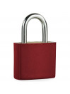 Padlock Tempo Padlocks