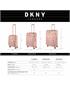 dkny-624 set/3 trolleys after hours green